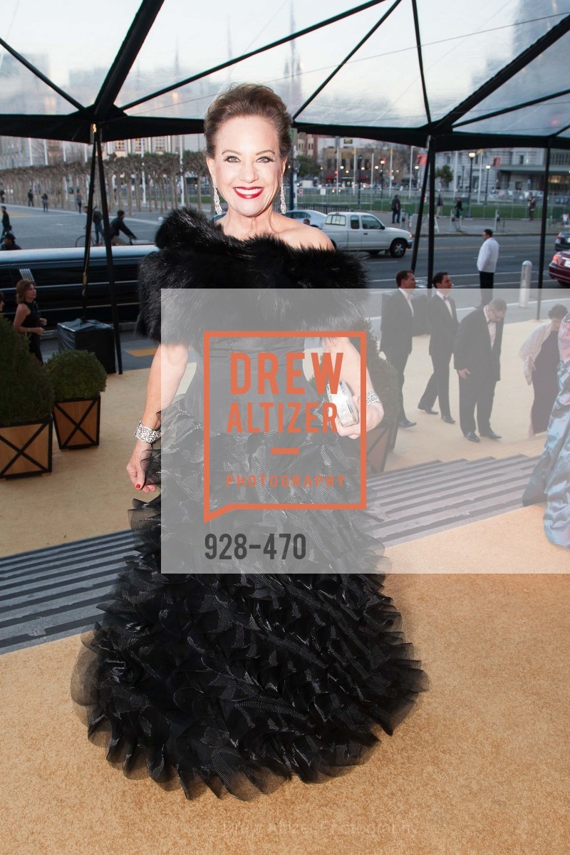 Robin Collins, SAN FRANCISCO BALLET Opening Night Gala: PHENOMENAL - Arrivals, US. SF City Hall, January 22nd, 2014,Drew Altizer, Drew Altizer Photography, full-service agency, private events, San Francisco photographer, photographer california