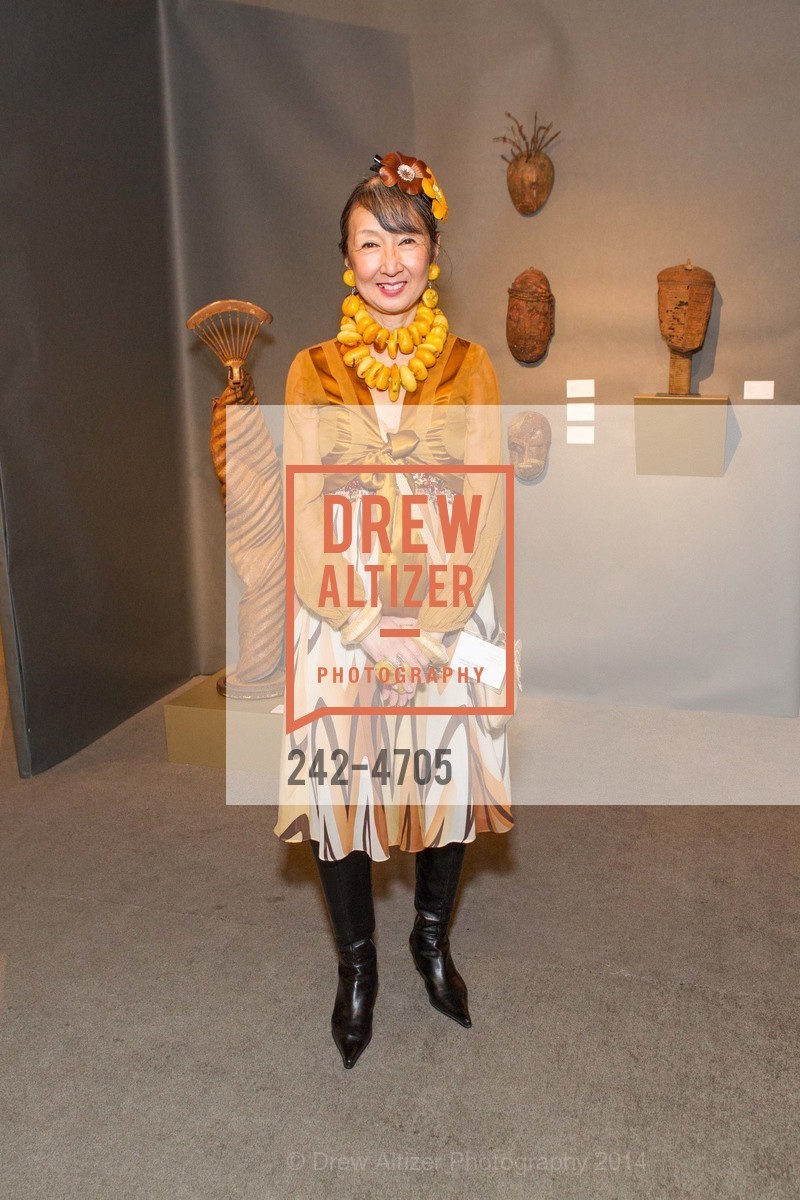 Lin Chen-Willis, San Francisco Tribal & Textile Arts Show Opening Preview Gala, US, February 6th, 2014, Photo #242-4705 Lin Chen-Willis, Photo #242-4705