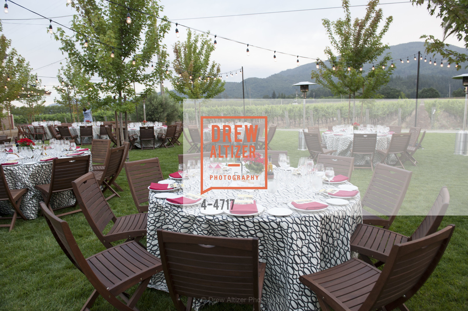 Atmosphere, FESTIVAL DEL SOLE Dinner at GRGICH HILLS ESTATE, US, July 14th, 2014, Photo #4-4717 Atmosphere, Photo #4-4717