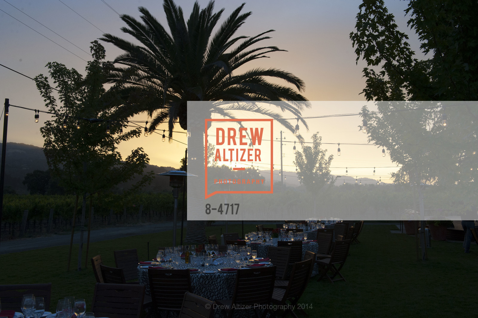 Atmosphere, FESTIVAL DEL SOLE Dinner at GRGICH HILLS ESTATE, US, July 14th, 2014, Photo #8-4717 Atmosphere, Photo #8-4717