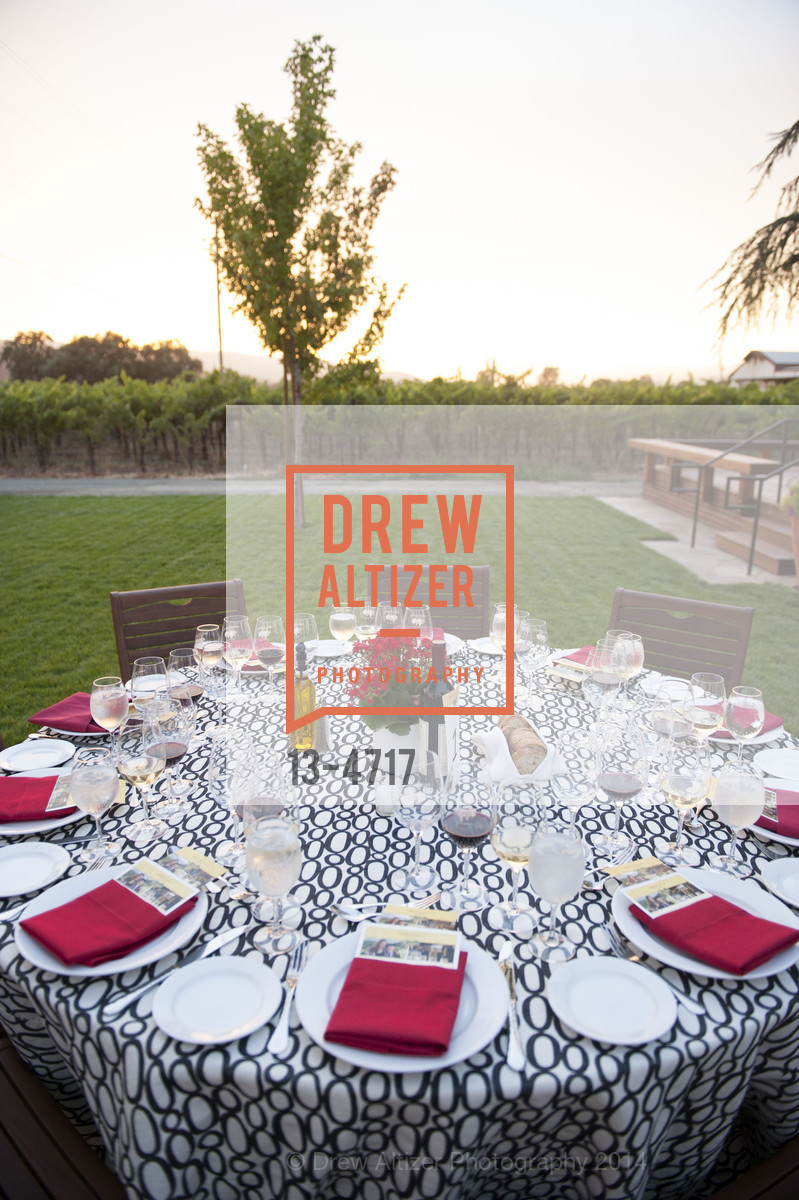 Atmosphere, FESTIVAL DEL SOLE Dinner at GRGICH HILLS ESTATE, US, July 14th, 2014, Photo #13-4717 Atmosphere, Photo #13-4717