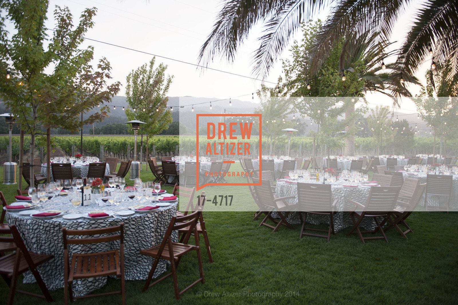 Atmosphere, FESTIVAL DEL SOLE Dinner at GRGICH HILLS ESTATE, US, July 14th, 2014, Photo #17-4717 Atmosphere, Photo #17-4717