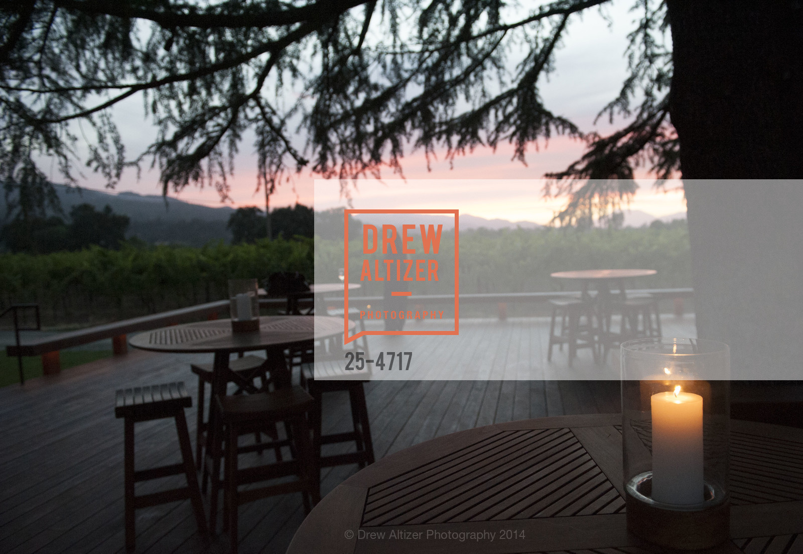 Atmosphere, FESTIVAL DEL SOLE Dinner at GRGICH HILLS ESTATE, US, July 14th, 2014, Photo #25-4717 Atmosphere, Photo #25-4717