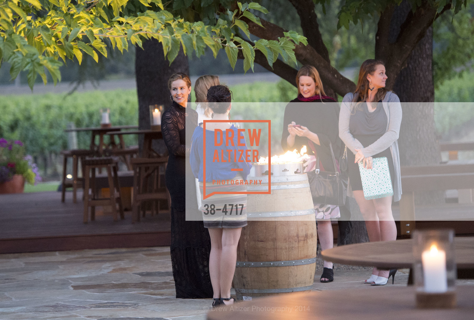 Atmosphere, FESTIVAL DEL SOLE Dinner at GRGICH HILLS ESTATE, US, July 14th, 2014, Photo #38-4717 Atmosphere, Photo #38-4717