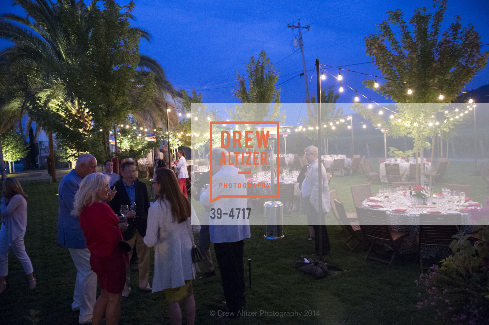 Atmosphere, FESTIVAL DEL SOLE Dinner at GRGICH HILLS ESTATE, US, July 14th, 2014, Photo #39-4717 Atmosphere, Photo #39-4717