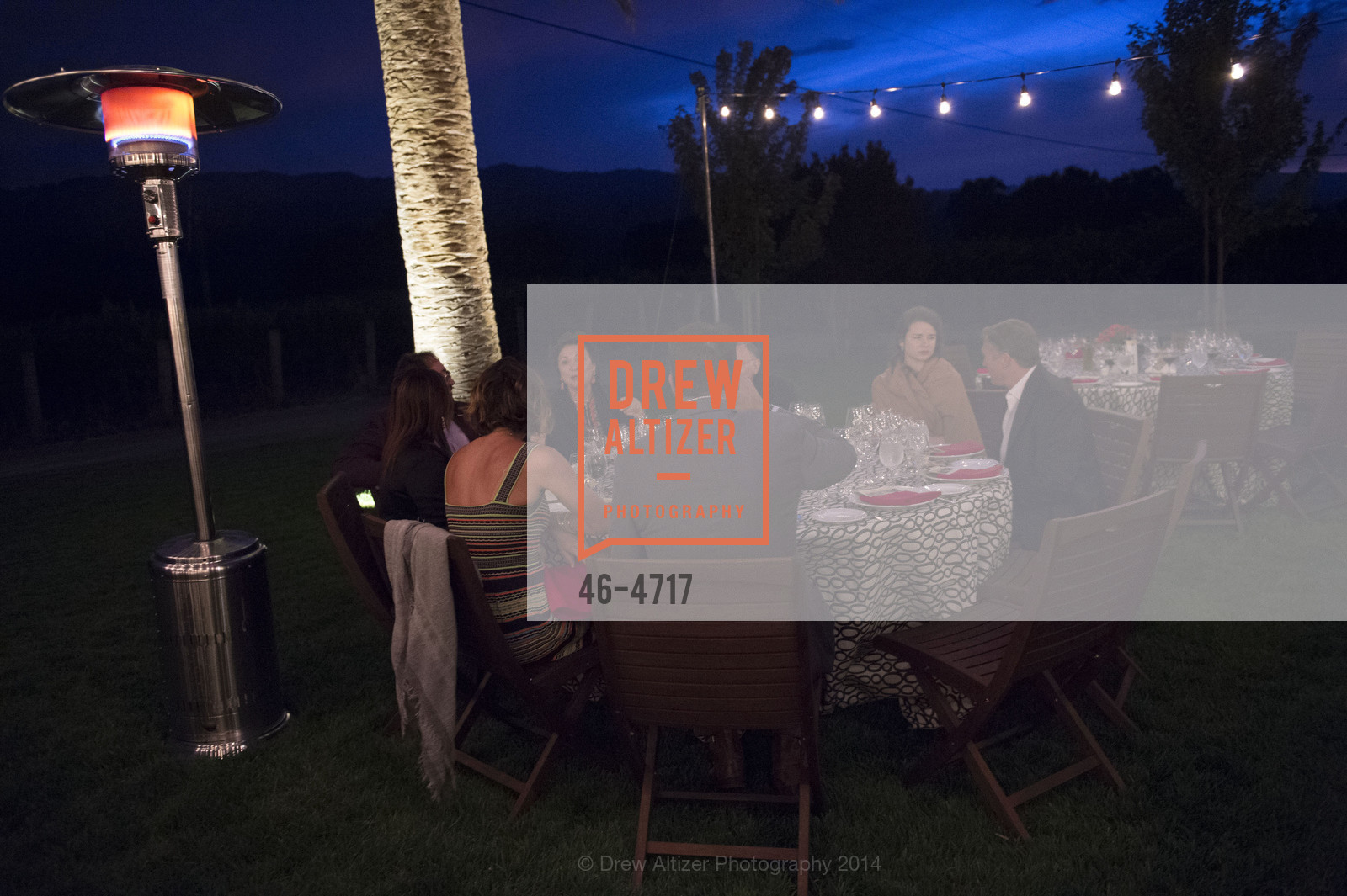 Atmosphere, FESTIVAL DEL SOLE Dinner at GRGICH HILLS ESTATE, US, July 14th, 2014, Photo #46-4717 Atmosphere, Photo #46-4717