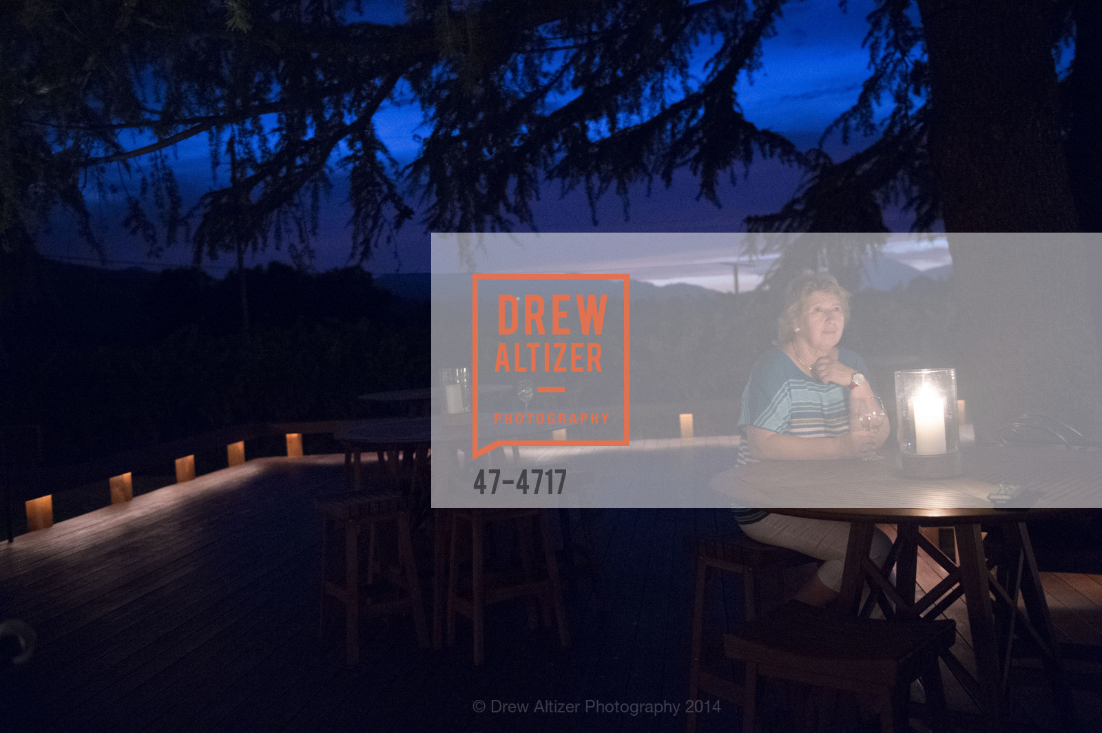 FESTIVAL DEL SOLE Dinner at GRGICH HILLS ESTATE, US, July 14th, 2014, Photo #47-4717 Photo #47-4717