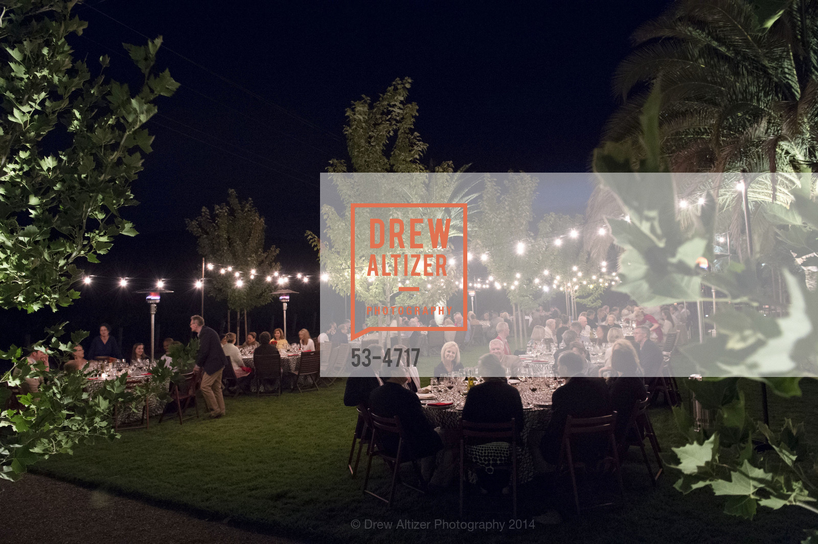Atmosphere, FESTIVAL DEL SOLE Dinner at GRGICH HILLS ESTATE, US, July 14th, 2014, Photo #53-4717 Atmosphere, Photo #53-4717