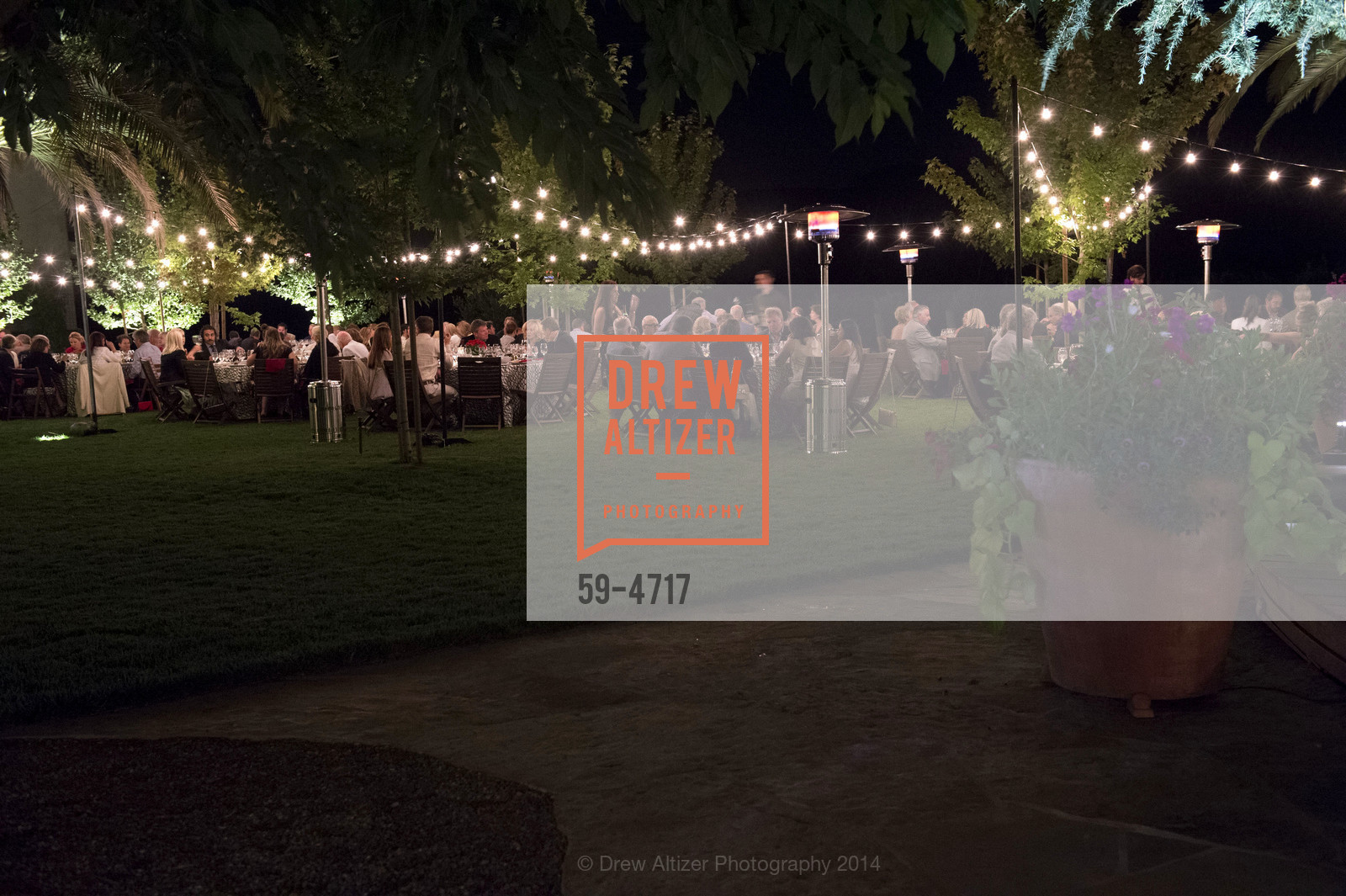 Atmosphere, FESTIVAL DEL SOLE Dinner at GRGICH HILLS ESTATE, US, July 14th, 2014, Photo #59-4717 Atmosphere, Photo #59-4717