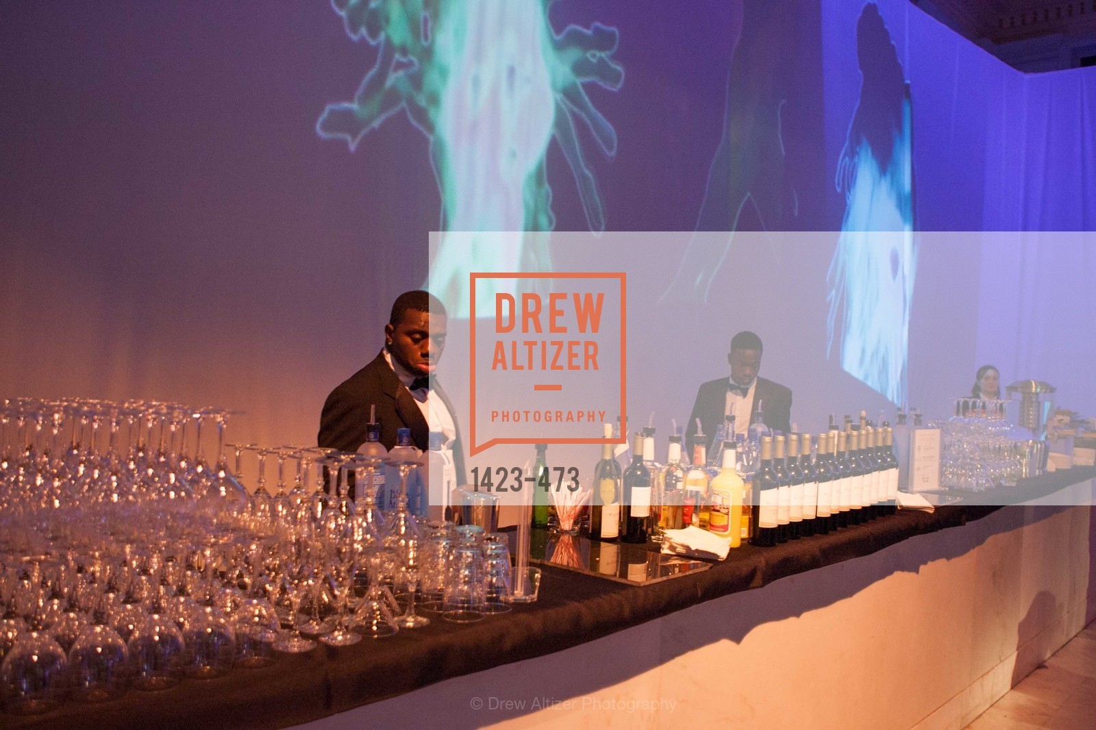 Atmosphere, ENCORE! at San Francisco BALLET'S 2014 Season Opening Night Gala, US. US, January 22nd, 2014,Drew Altizer, Drew Altizer Photography, full-service agency, private events, San Francisco photographer, photographer california