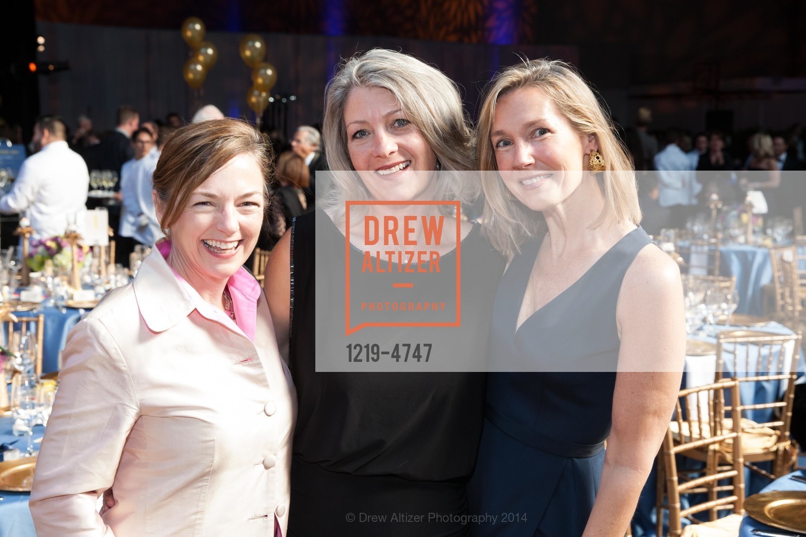 Jennifer Devlin-Herbert, Anthea Hartig, Katherine Petrin, SF HERITAGE Soiree 2014, US, May 10th, 2014, Photo #1219-4747 Jennifer Devlin-Herbert, Anthea Hartig, Katherine Petrin, Photo #1219-4747