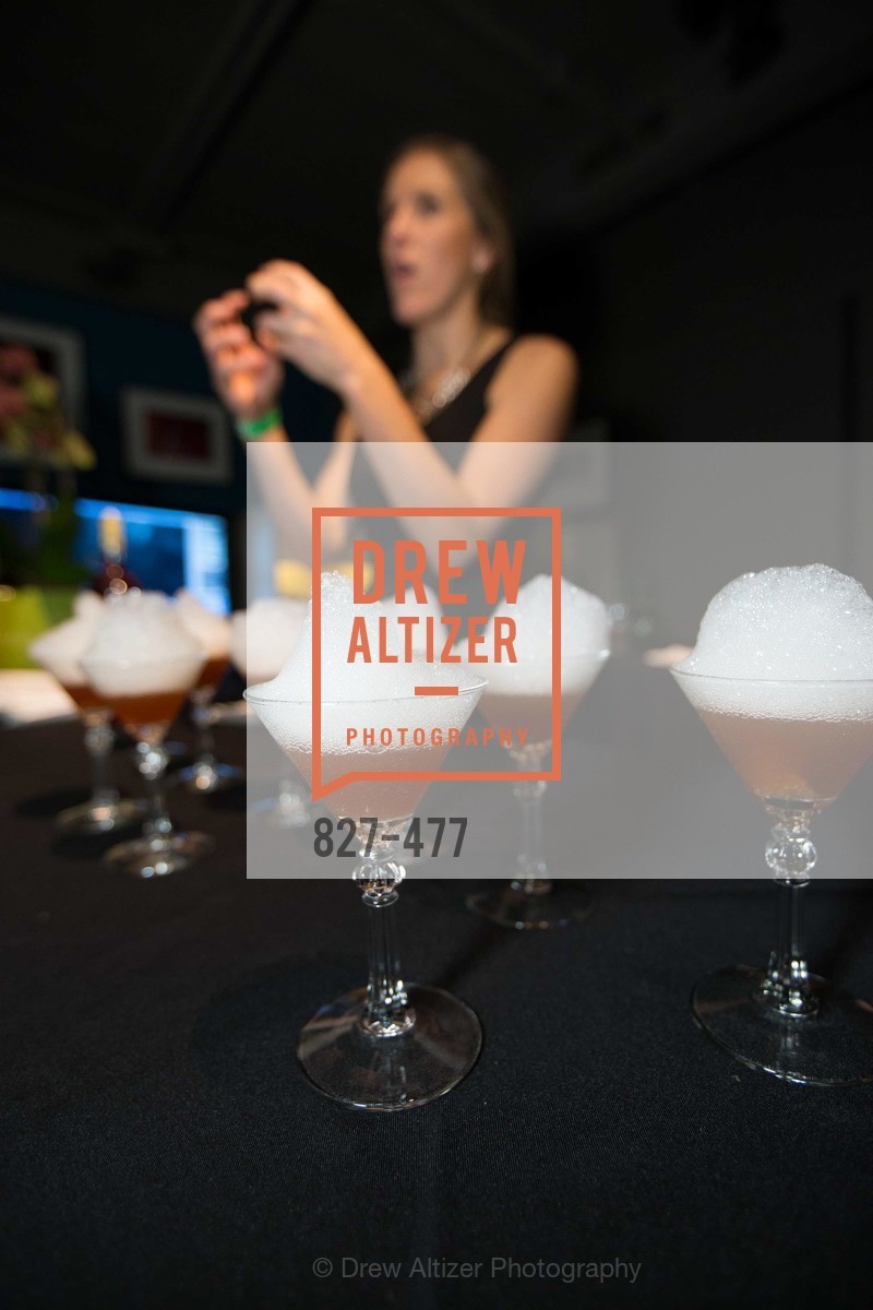 Atmosphere, THE EXPLORATORIUM LAB Presents 2014 Science of Cocktails, US. US, January 24th, 2014,Drew Altizer, Drew Altizer Photography, full-service agency, private events, San Francisco photographer, photographer california