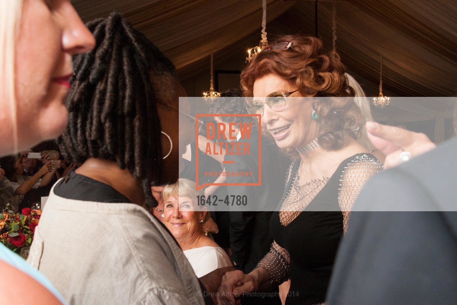 Sophia Loren, FESTIVAL DEL SOLE Bella Italia! Tribute to Sophia Loren at FAR NIENTE, US, July 19th, 2014, Photo #1642-4780 Sophia Loren, Photo #1642-4780