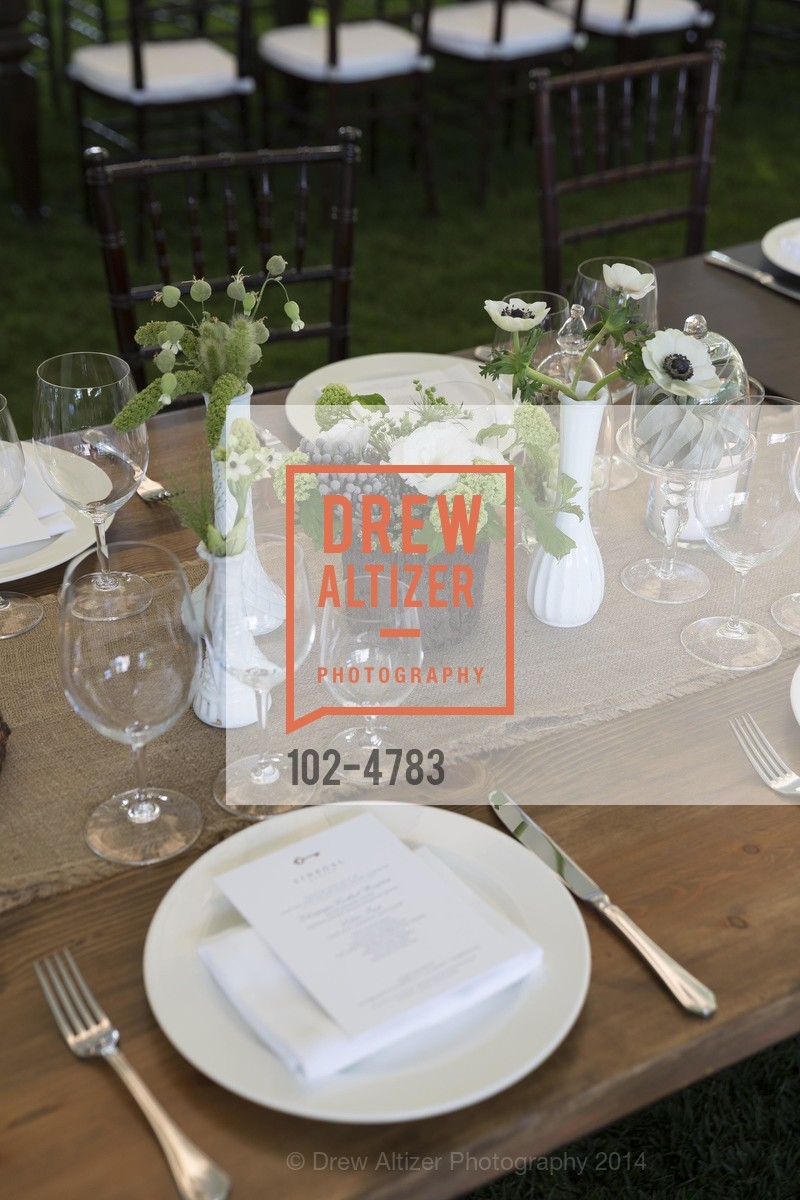 Atmosphere, SINEGAL ESTATE WINERY Harvest Party, US, October 19th, 2014, Photo #102-4783 Atmosphere, Photo #102-4783