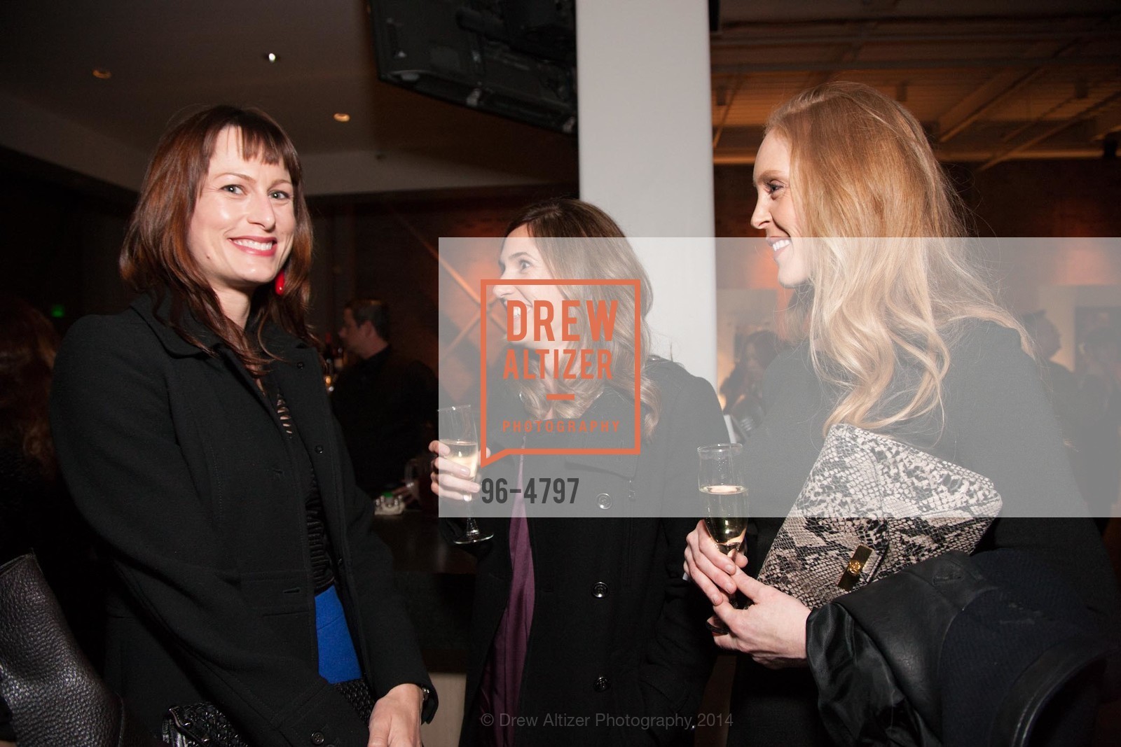 Emilie Munroe, Alison Davis, Alyse Daniel, CALIFORNIA HOME + DESIGN Awards Gala 2014, US, February 4th, 2014, Photo #96-4797 Emilie Munroe, Alison Davis, Alyse Daniel, Photo #96-4797