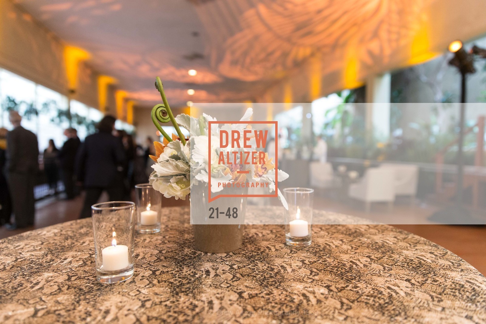 Extras, San Francisco Zoo Presents ZooFest 2015 Celebrating Champions, April 24th, 2015, Photo,Drew Altizer, Drew Altizer Photography, full-service agency, private events, San Francisco photographer, photographer california
