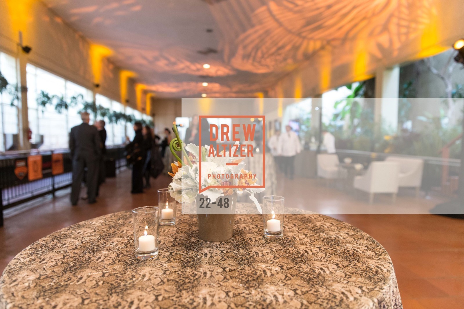 Extras, San Francisco Zoo Presents ZooFest 2015 Celebrating Champions, April 24th, 2015, Photo,Drew Altizer, Drew Altizer Photography, full-service agency, private events, San Francisco photographer, photographer california