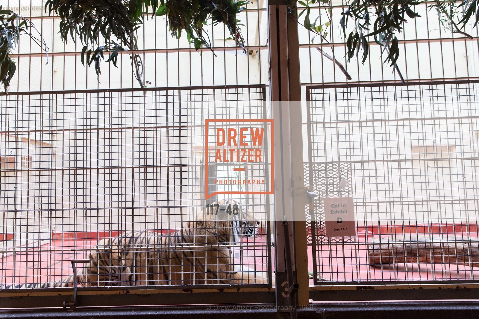 Extras, San Francisco Zoo Presents ZooFest 2015 Celebrating Champions, April 24th, 2015, Photo