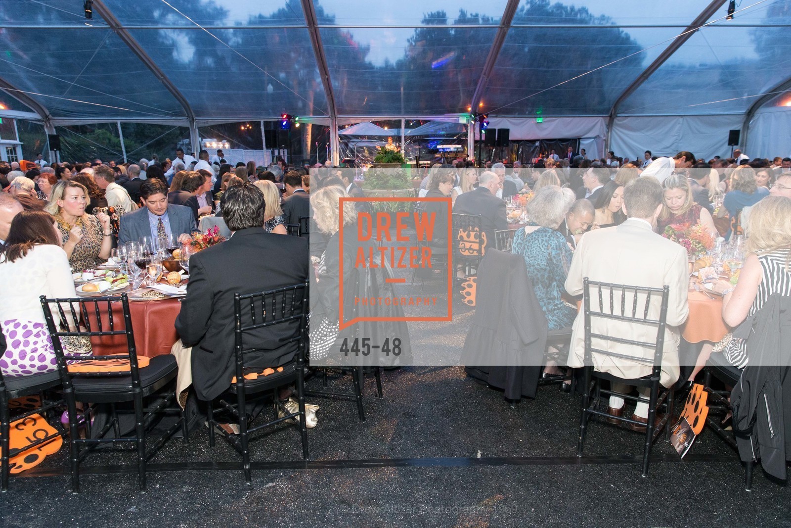 Extras, San Francisco Zoo Presents ZooFest 2015 Celebrating Champions, April 24th, 2015, Photo,Drew Altizer, Drew Altizer Photography, full-service agency, private events, San Francisco photographer, photographer california
