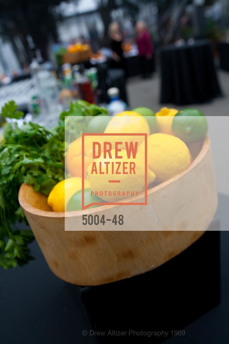 Extras, San Francisco Zoo Presents ZooFest 2015 Celebrating Champions, April 24th, 2015, Photo,Drew Altizer, Drew Altizer Photography, full-service agency, private events, San Francisco photographer, photographer california