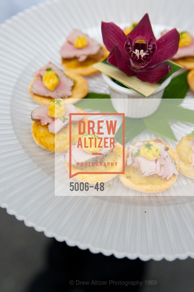 Extras, San Francisco Zoo Presents ZooFest 2015 Celebrating Champions, April 24th, 2015, Photo,Drew Altizer, Drew Altizer Photography, full-service agency, private events, San Francisco photographer, photographer california
