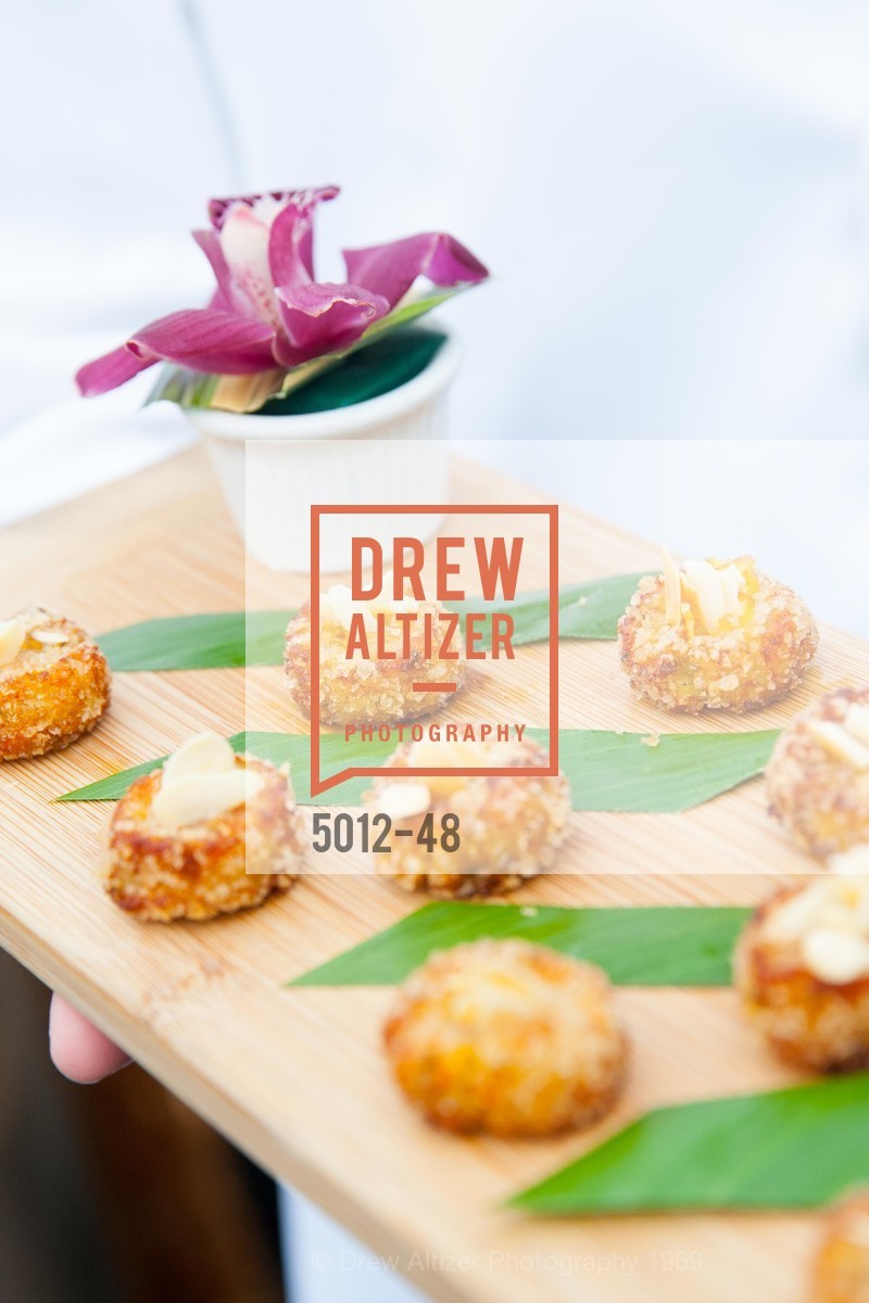 Extras, San Francisco Zoo Presents ZooFest 2015 Celebrating Champions, April 24th, 2015, Photo,Drew Altizer, Drew Altizer Photography, full-service agency, private events, San Francisco photographer, photographer california