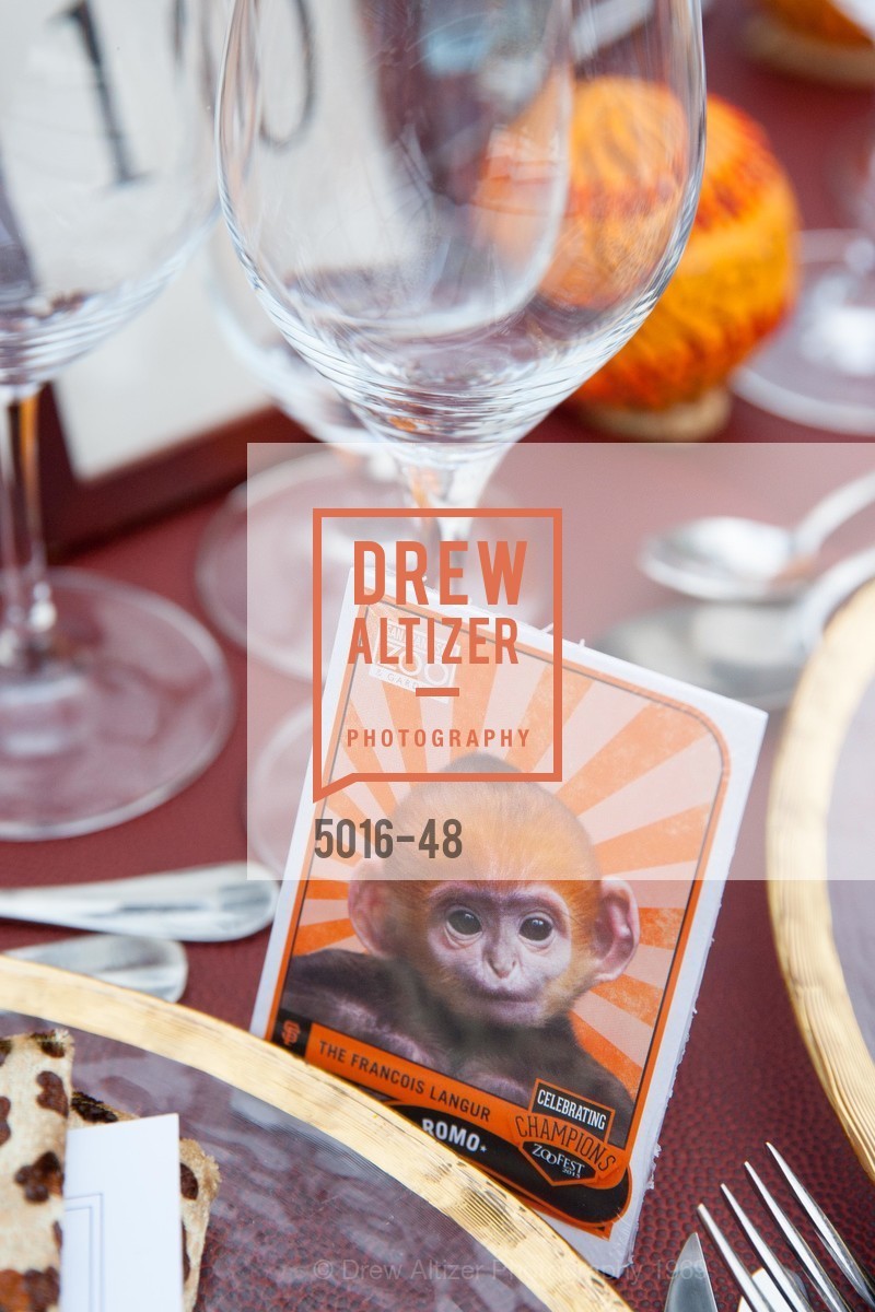 Extras, San Francisco Zoo Presents ZooFest 2015 Celebrating Champions, April 24th, 2015, Photo,Drew Altizer, Drew Altizer Photography, full-service agency, private events, San Francisco photographer, photographer california