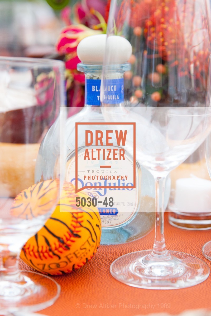 Extras, San Francisco Zoo Presents ZooFest 2015 Celebrating Champions, April 24th, 2015, Photo,Drew Altizer, Drew Altizer Photography, full-service event agency, private events, San Francisco photographer, photographer California