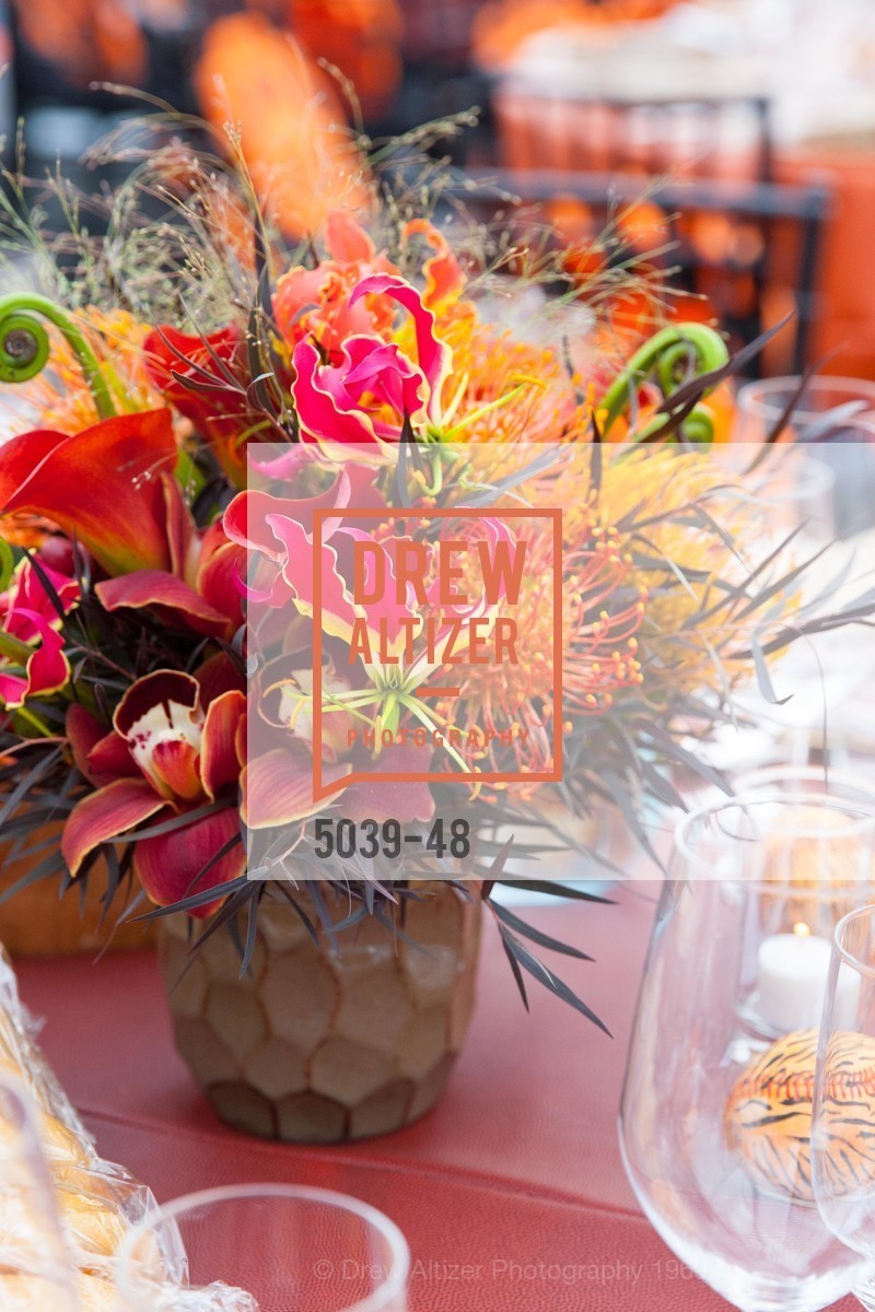 Extras, San Francisco Zoo Presents ZooFest 2015 Celebrating Champions, April 24th, 2015, Photo,Drew Altizer, Drew Altizer Photography, full-service agency, private events, San Francisco photographer, photographer california