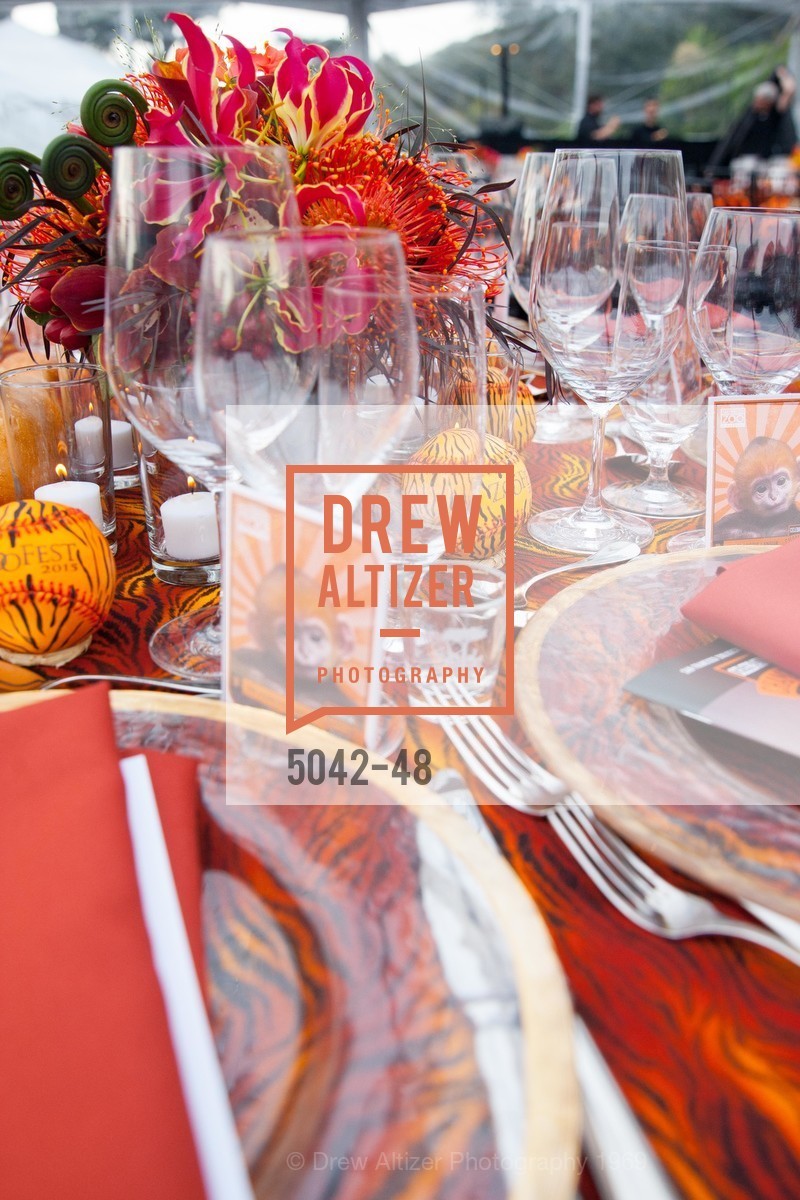 Extras, San Francisco Zoo Presents ZooFest 2015 Celebrating Champions, April 24th, 2015, Photo,Drew Altizer, Drew Altizer Photography, full-service agency, private events, San Francisco photographer, photographer california