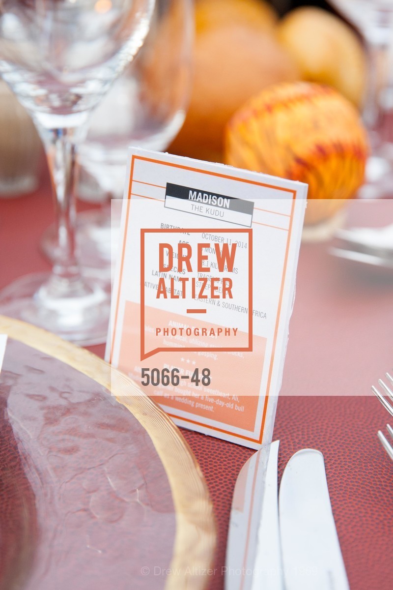 Extras, San Francisco Zoo Presents ZooFest 2015 Celebrating Champions, April 24th, 2015, Photo,Drew Altizer, Drew Altizer Photography, full-service agency, private events, San Francisco photographer, photographer california