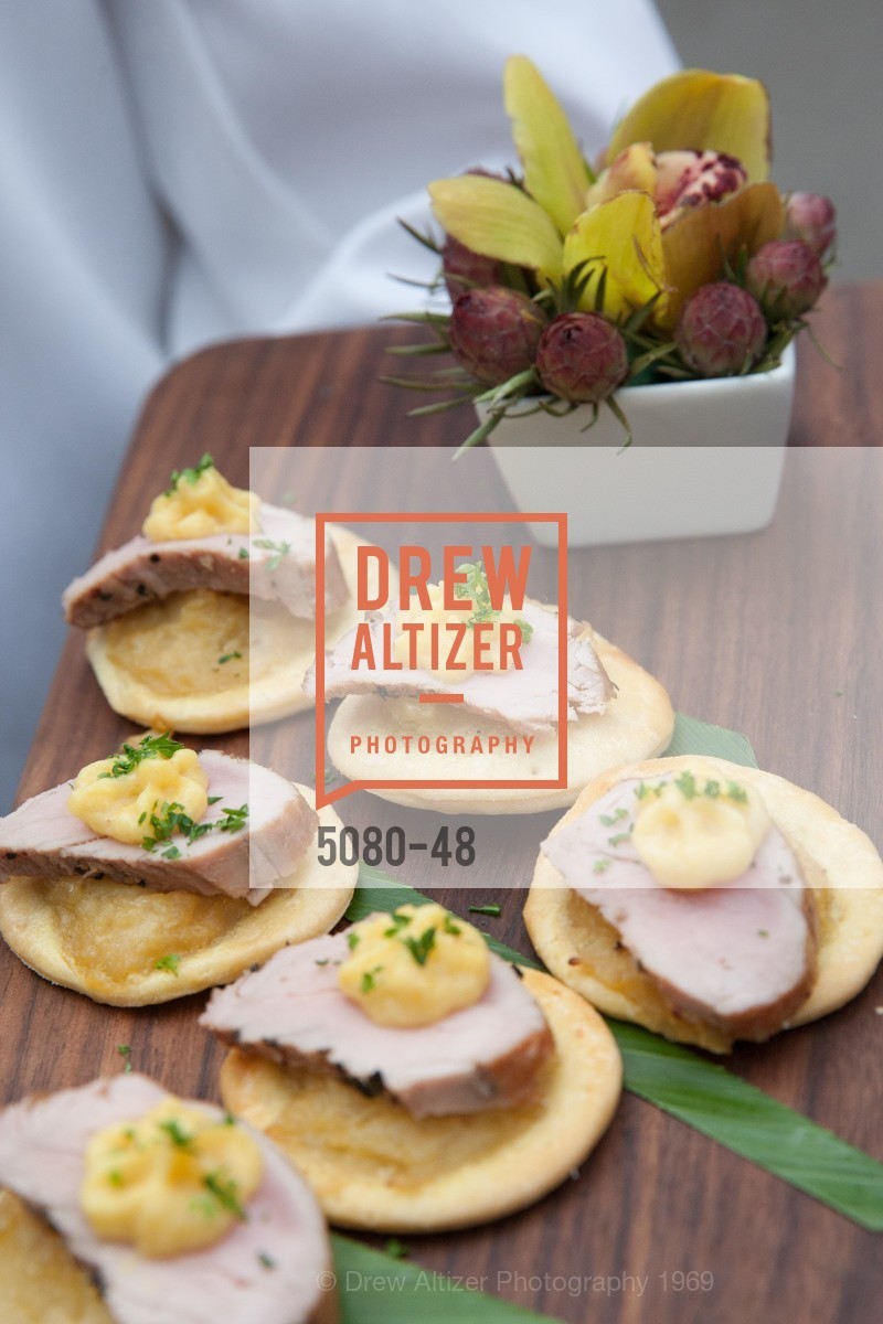 Extras, San Francisco Zoo Presents ZooFest 2015 Celebrating Champions, April 24th, 2015, Photo,Drew Altizer, Drew Altizer Photography, full-service agency, private events, San Francisco photographer, photographer california