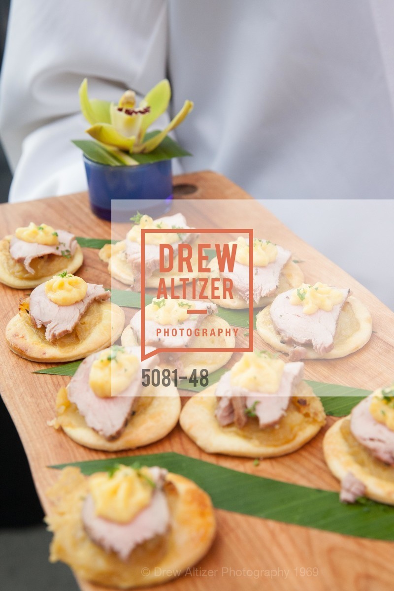 Extras, San Francisco Zoo Presents ZooFest 2015 Celebrating Champions, April 24th, 2015, Photo,Drew Altizer, Drew Altizer Photography, full-service agency, private events, San Francisco photographer, photographer california