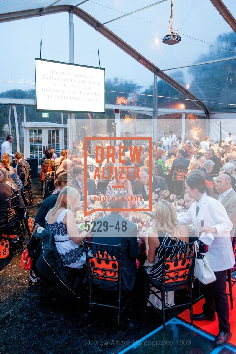 Extras, San Francisco Zoo Presents ZooFest 2015 Celebrating Champions, April 24th, 2015, Photo,Drew Altizer, Drew Altizer Photography, full-service agency, private events, San Francisco photographer, photographer california