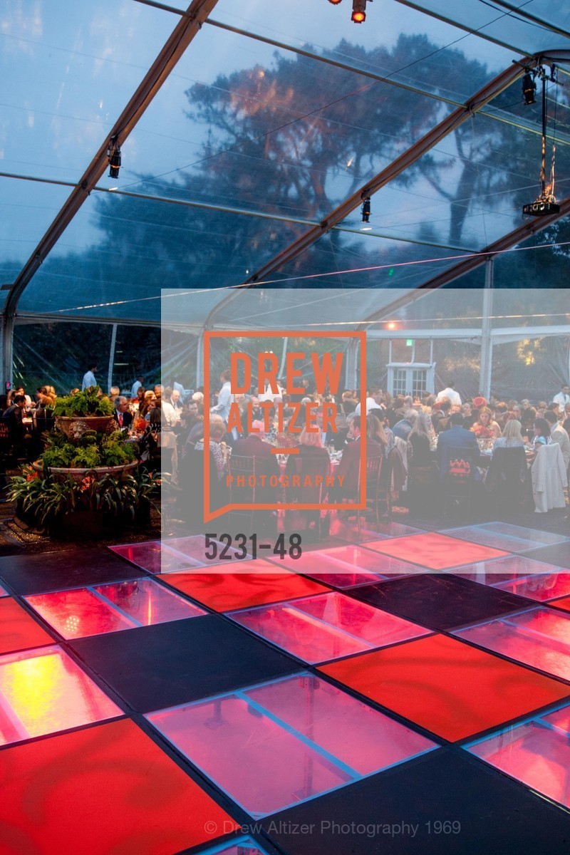 Extras, San Francisco Zoo Presents ZooFest 2015 Celebrating Champions, April 24th, 2015, Photo,Drew Altizer, Drew Altizer Photography, full-service agency, private events, San Francisco photographer, photographer california