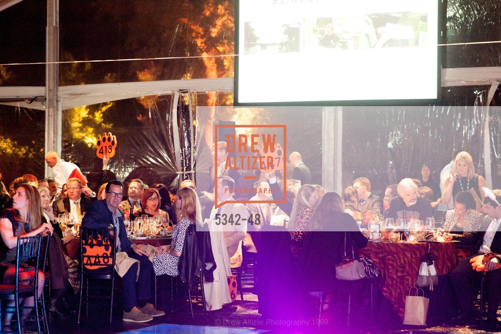 Extras, San Francisco Zoo Presents ZooFest 2015 Celebrating Champions, April 24th, 2015, Photo,Drew Altizer, Drew Altizer Photography, full-service agency, private events, San Francisco photographer, photographer california