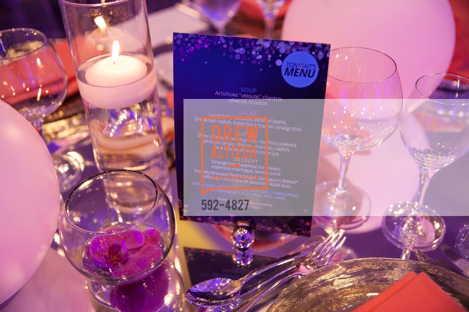 Atmosphere, CAL SHAKES 40th Anniversary Gala: Raise the Roof, US, March 15th, 2014, Photo #592-4827 Atmosphere, Photo #592-4827