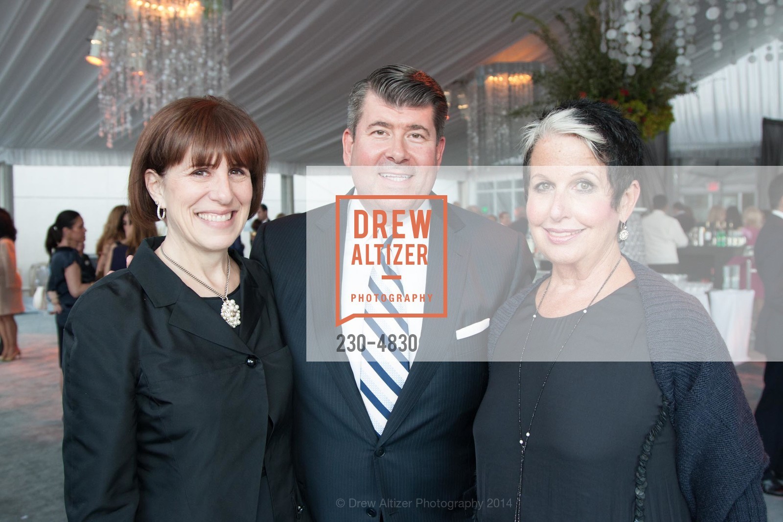 Terri Mino, Alan Morrell, Karen Kubin, PASSIONE Pre-Event Celebration for Opera Ball 2014, Various, Various. Various, July 20th, 2020, Photo #230-4830 Terri Mino, Alan Morrell, Karen Kubin, Photo #230-4830