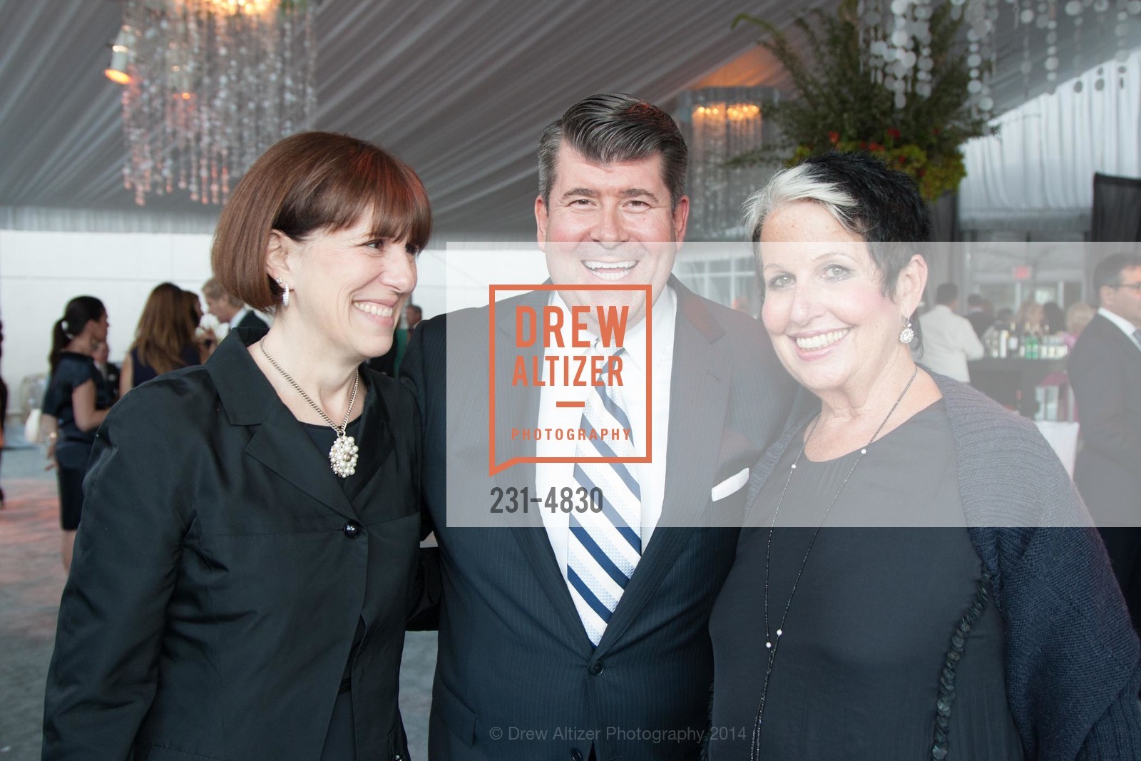 Terri Mino, Alan Morrell, Karen Kubin, PASSIONE Pre-Event Celebration for Opera Ball 2014, Various, Various. Various, July 20th, 2020, Photo #231-4830 Terri Mino, Alan Morrell, Karen Kubin, Photo #231-4830