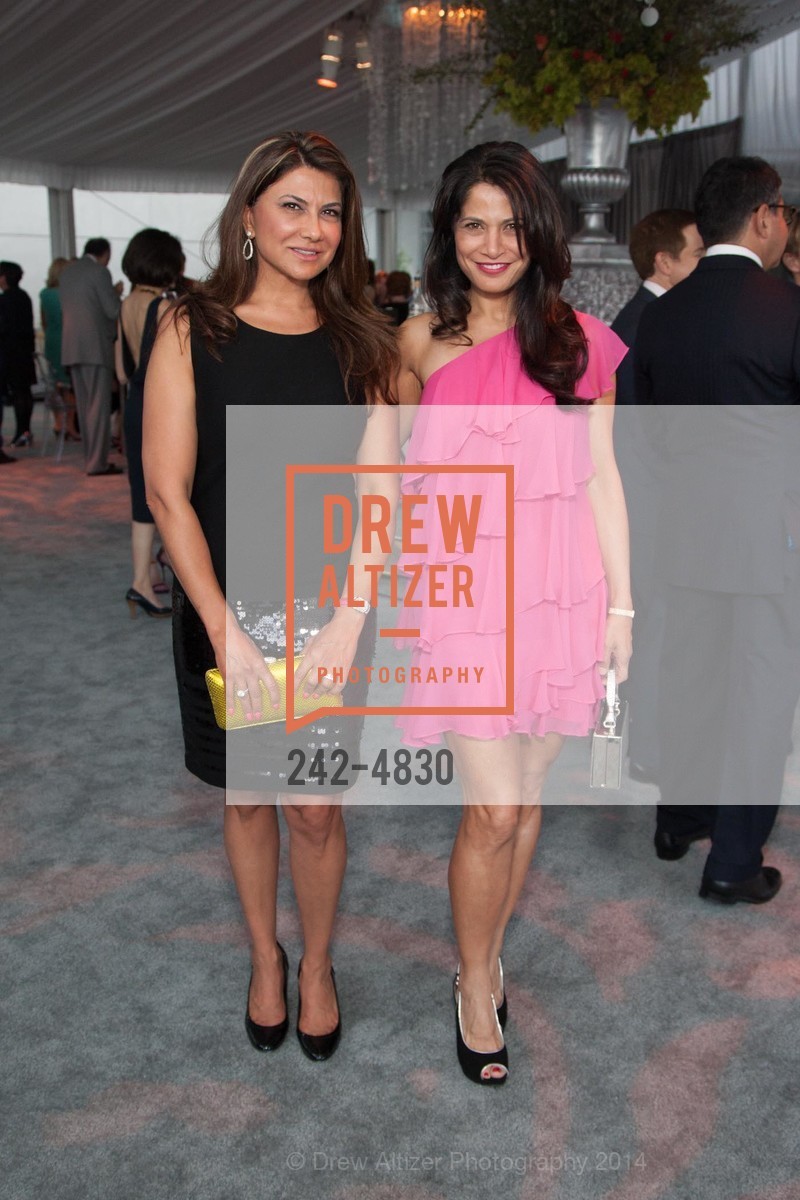 Homa Andalib, Mai Shiver, PASSIONE Pre-Event Celebration for Opera Ball 2014, St. Regis Hotel. 125 3rd Street, June 4th, 2014, Photo #242-4830 Homa Andalib, Mai Shiver, Photo #242-4830