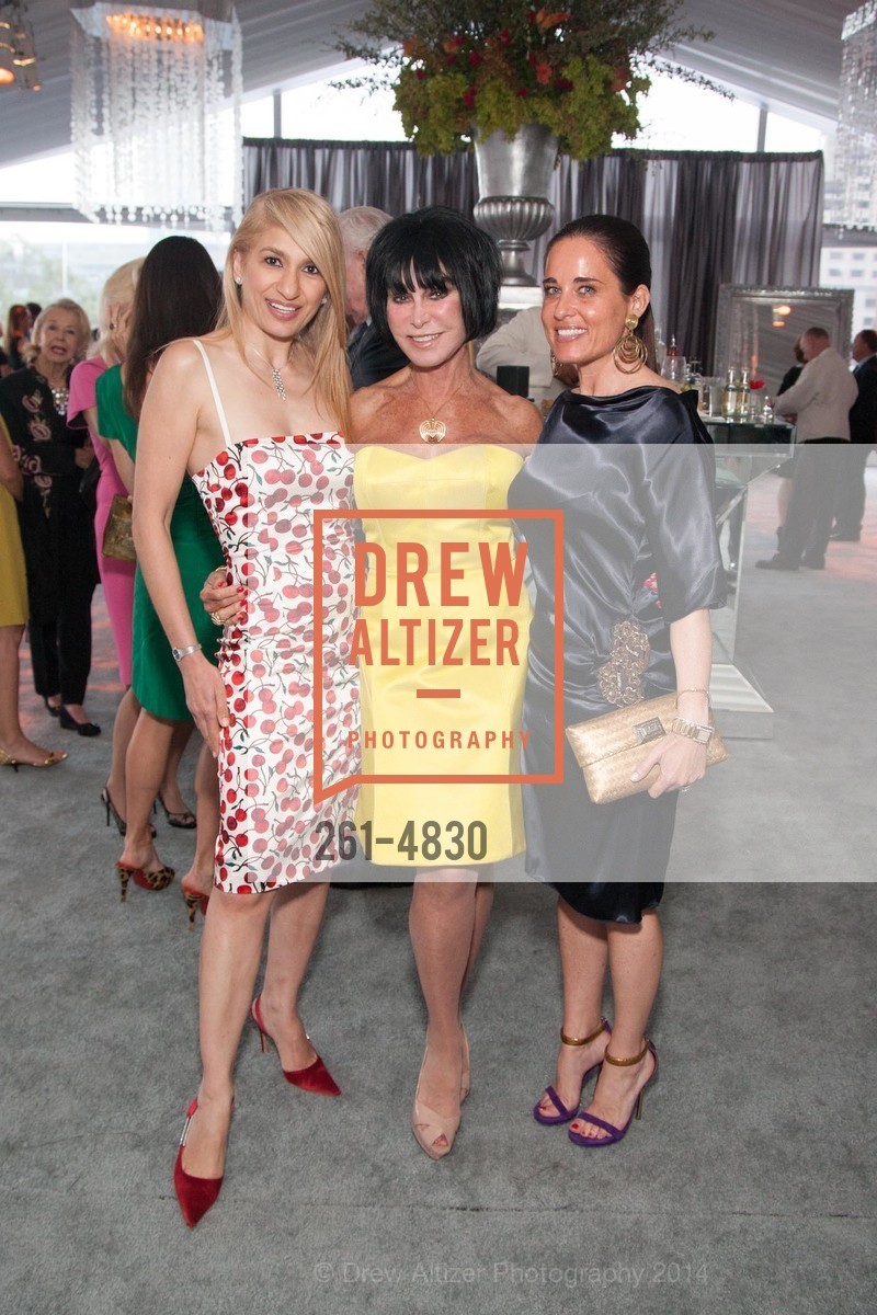 Navid Armstrong, Marilyn Cabak, Natalia Urrutia, PASSIONE Pre-Event Celebration for Opera Ball 2014, St. Regis Hotel. 125 3rd Street, June 4th, 2014, Photo #261-4830 Navid Armstrong, Marilyn Cabak, Natalia Urrutia, Photo #261-4830