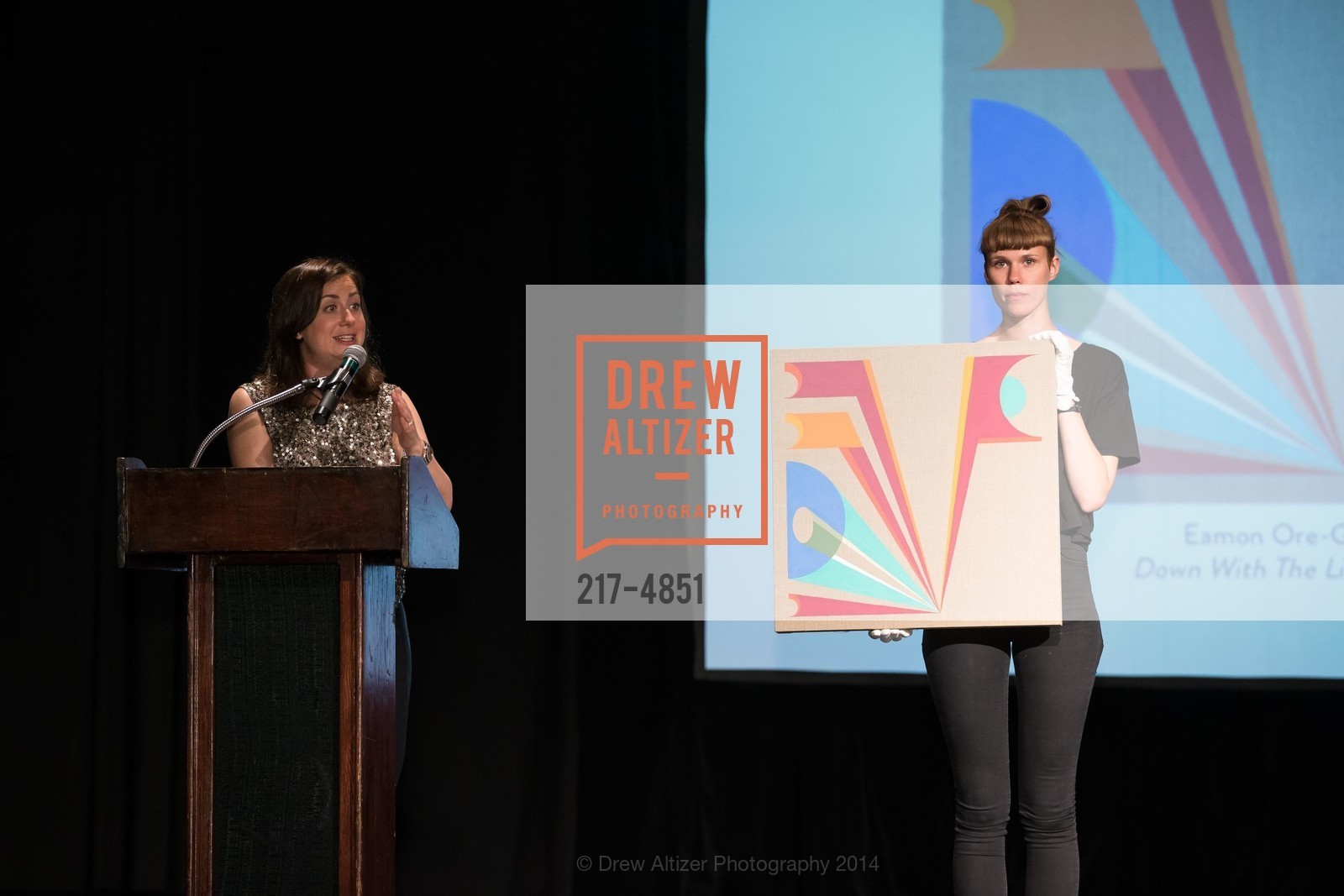 HEADLANDS CENTER FOR THE ARTS Presents Benefit Auction, US, June 4th, 2014, Photo #217-4851 Photo #217-4851