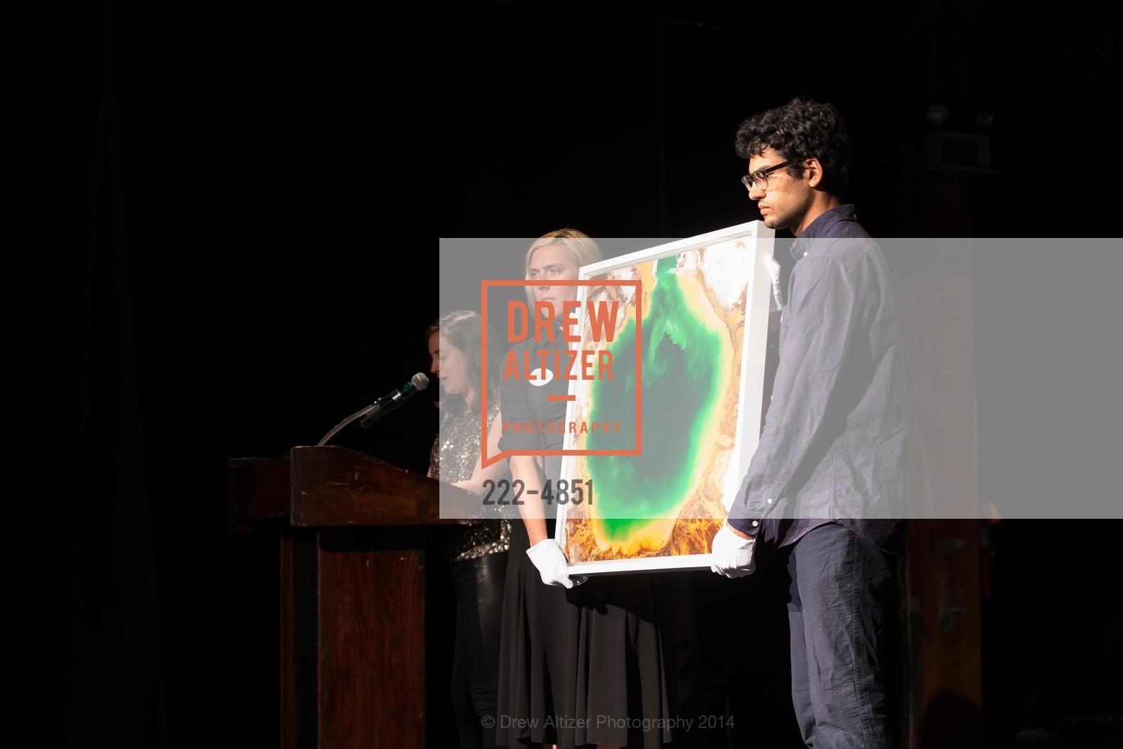 HEADLANDS CENTER FOR THE ARTS Presents Benefit Auction, US, June 4th, 2014, Photo #222-4851 Photo #222-4851