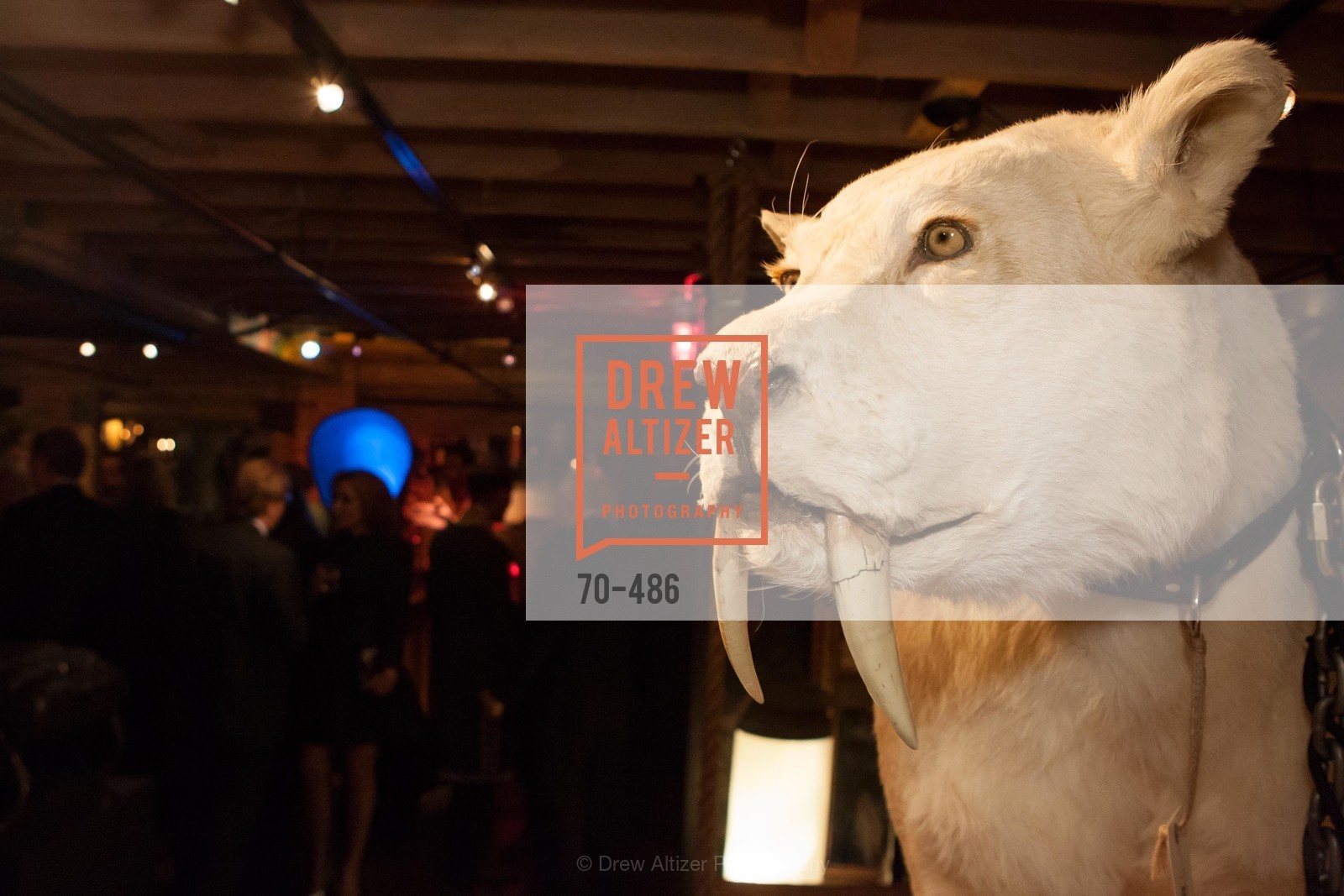 Atmosphere, KEN FULK Presents All Fools Day, US. US, April 1st, 2014,Drew Altizer, Drew Altizer Photography, full-service event agency, private events, San Francisco photographer, photographer California