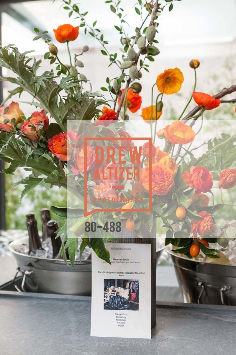 Atmosphere, SONYA MOLODETSKAYA's Birthday Party, US. The Battery Penthouse, April 1st, 2014,Drew Altizer, Drew Altizer Photography, full-service agency, private events, San Francisco photographer, photographer california