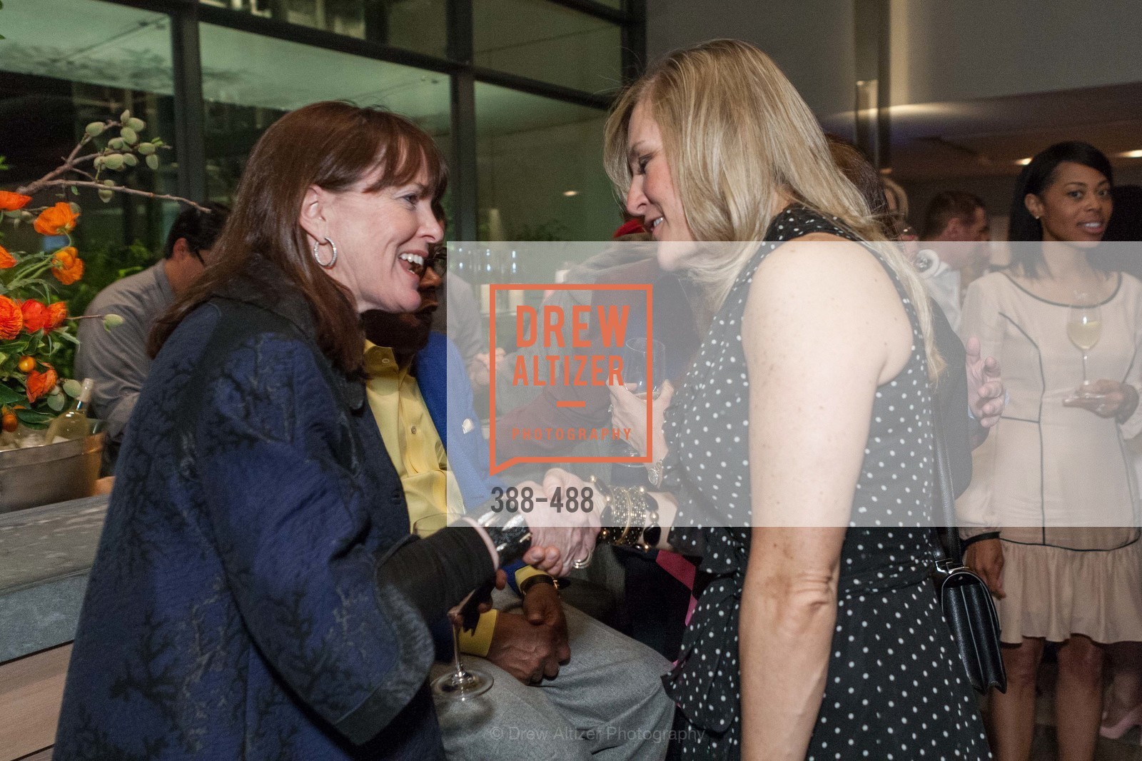 Allison Speer, Fabiola Gascon, SONYA MOLODETSKAYA's Birthday Party, US. The Battery Penthouse, April 1st, 2014,Drew Altizer, Drew Altizer Photography, full-service agency, private events, San Francisco photographer, photographer california