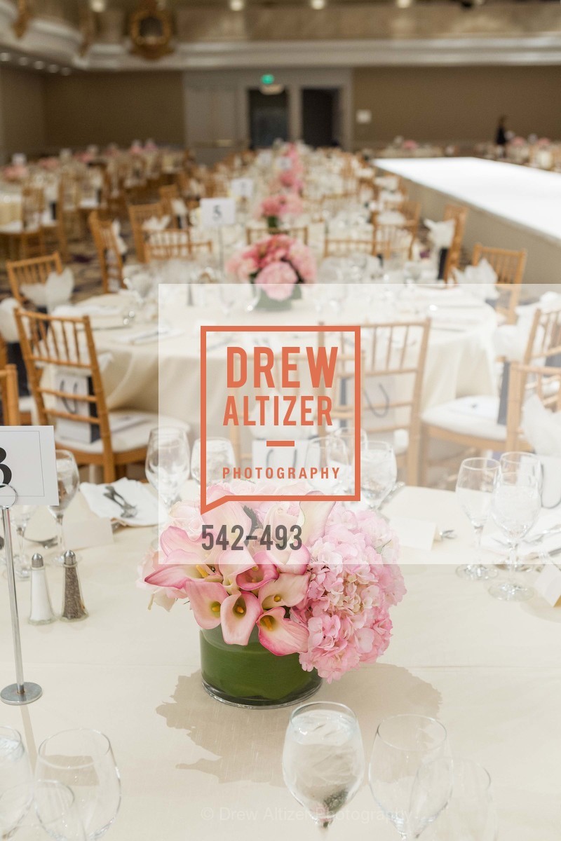 Atmosphere, SAN FRANCISCO BALLET AUXULIARY 2014 Fashion Show, US. The Fairmont, April 3rd, 2014,Drew Altizer, Drew Altizer Photography, full-service agency, private events, San Francisco photographer, photographer california