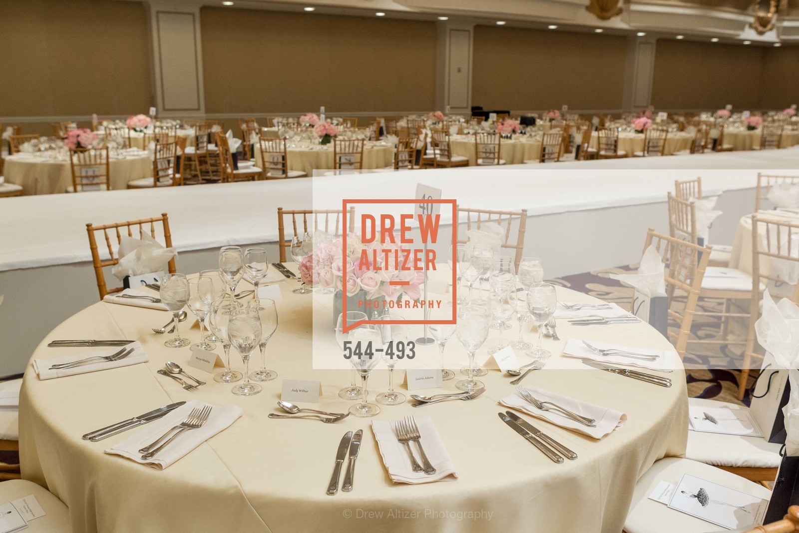 Atmosphere, SAN FRANCISCO BALLET AUXULIARY 2014 Fashion Show, US. The Fairmont, April 3rd, 2014,Drew Altizer, Drew Altizer Photography, full-service event agency, private events, San Francisco photographer, photographer California
