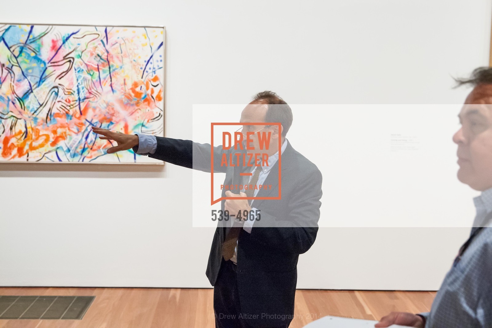 Harry Cooper, Press Preview: Modernism from the National Gallery of Art: The Robert & Jane Meyerhoff Collection, US, June 5th, 2014, Photo #539-4965 Harry Cooper, Photo #539-4965