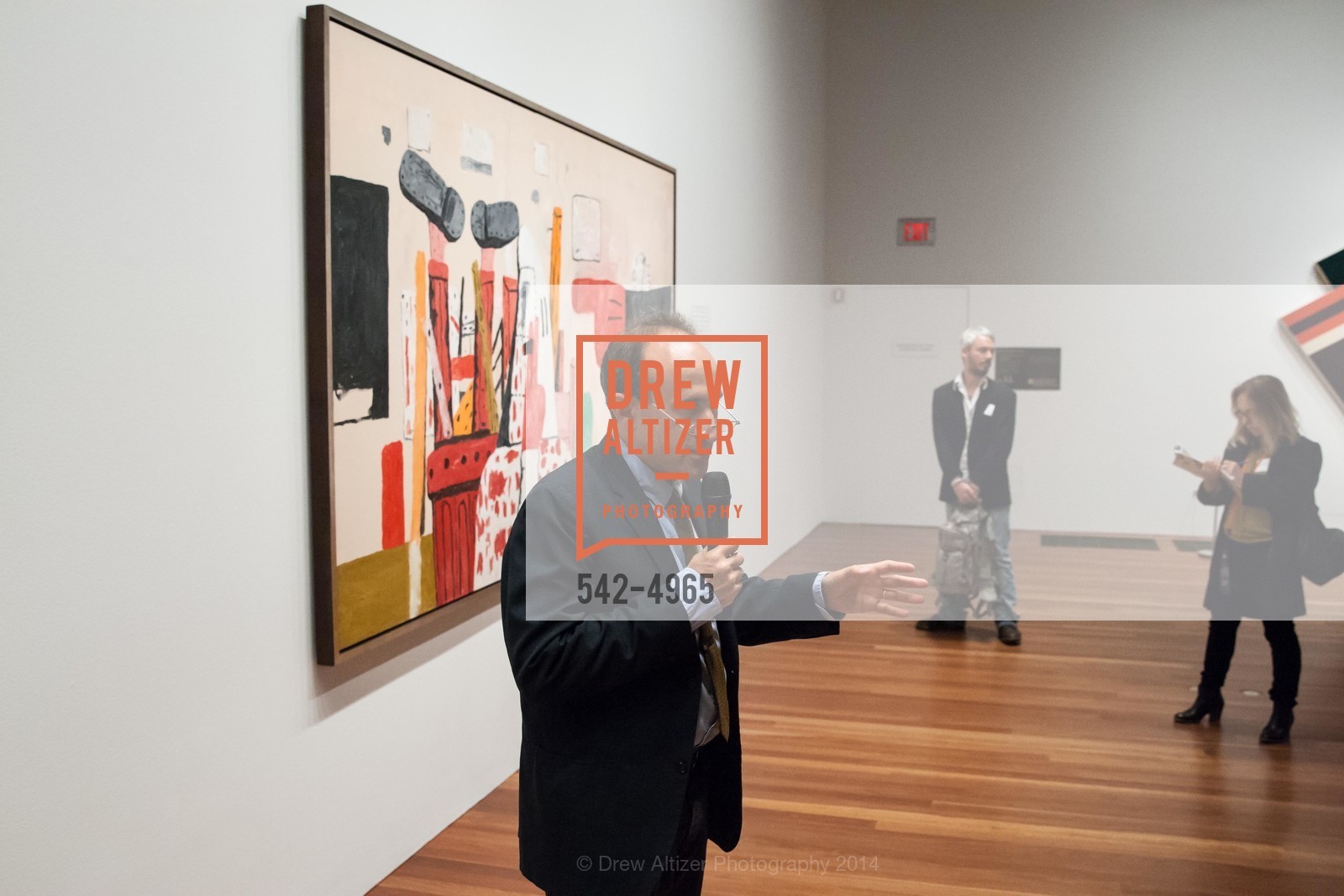 Harry Cooper, Press Preview: Modernism from the National Gallery of Art: The Robert & Jane Meyerhoff Collection, US, June 5th, 2014, Photo #542-4965 Harry Cooper, Photo #542-4965